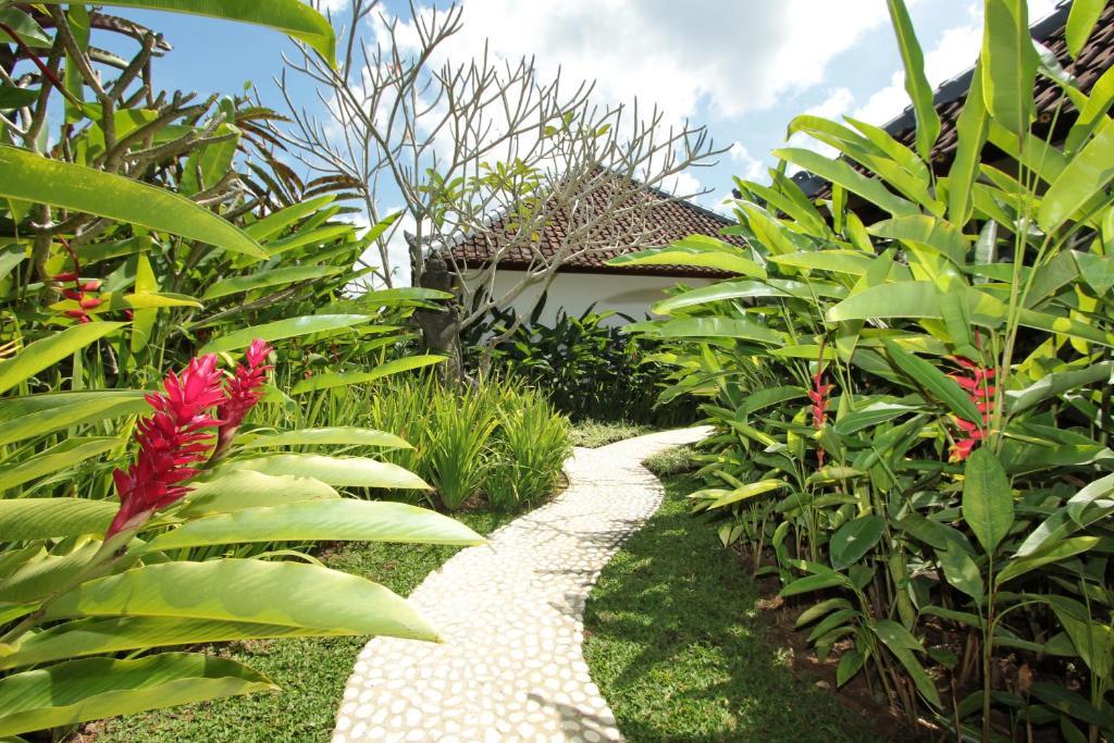 Bed and Breakfast Sunset Hill Ubud Pokój zdjęcie