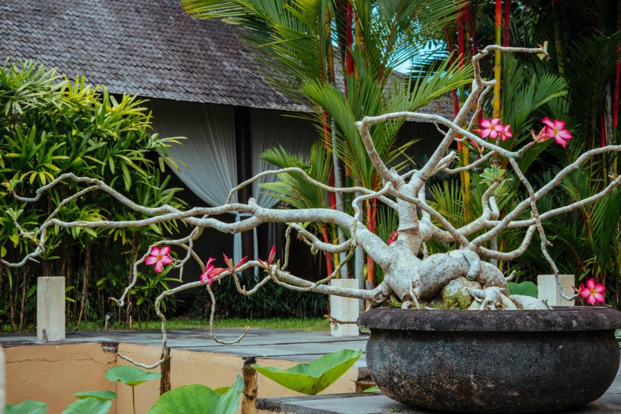 Bed and Breakfast Sunset Hill Ubud Zewnętrze zdjęcie