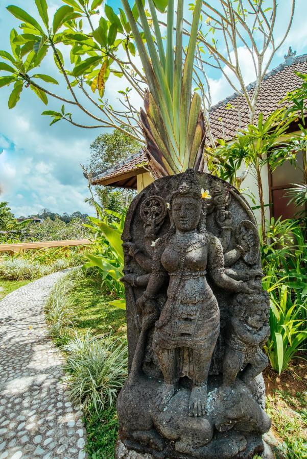 Bed and Breakfast Sunset Hill Ubud Zewnętrze zdjęcie
