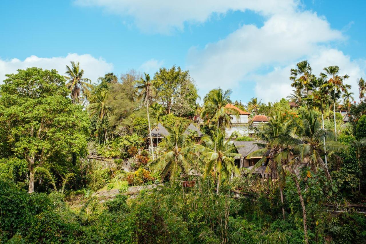 Bed and Breakfast Sunset Hill Ubud Zewnętrze zdjęcie